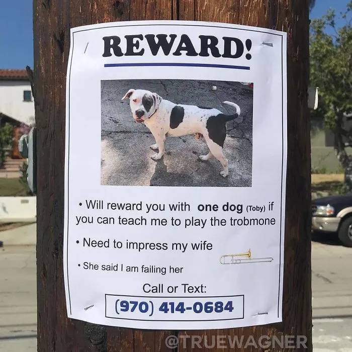 This Guy Won't Stop Trolling His Neighborhood With Fake Posters, And People Can't Stop Laughing