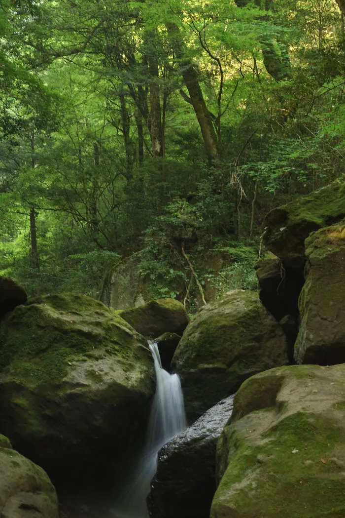 Kikuchi Gorge