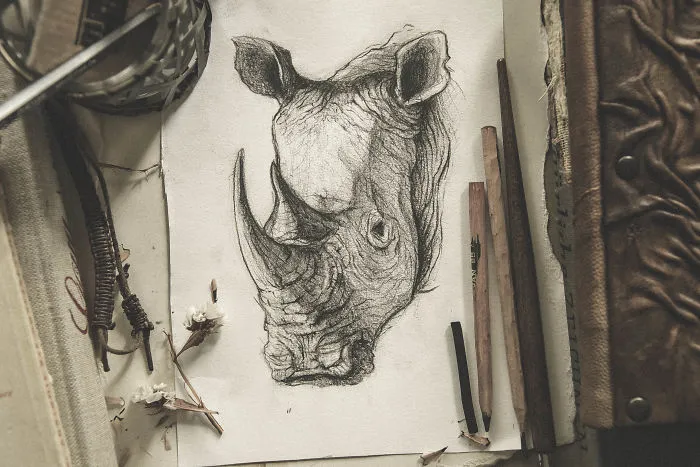 To Practice My Drawing Skills, I Drew These 19 Stylized Animals In My Sketchbook
