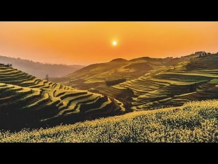 Love In Luoping