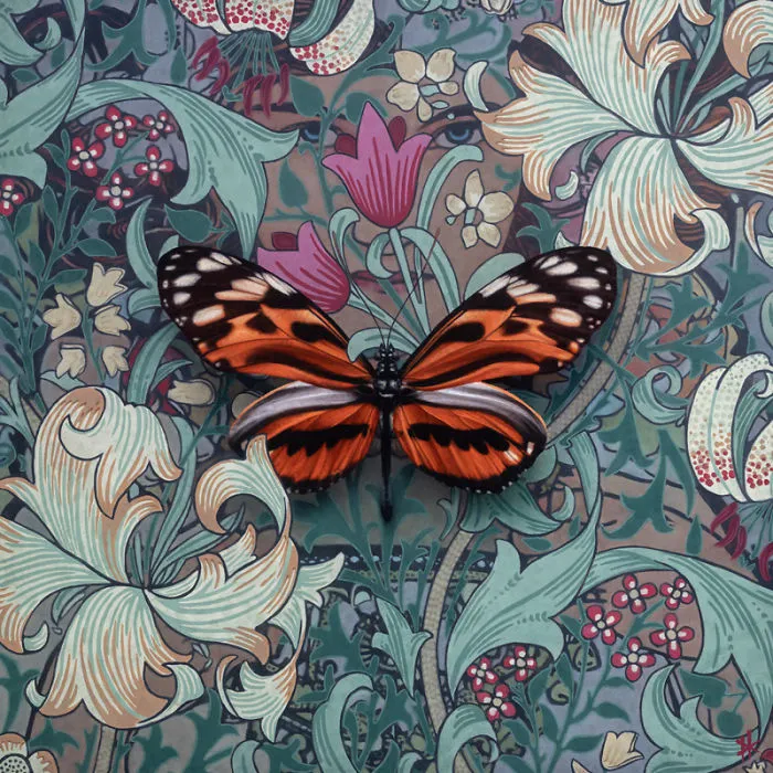 Hyperrealistic Paintings Of Butterflies And Dragonflies