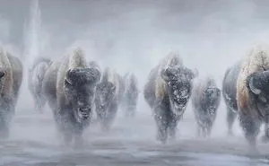 Giants In The Mist