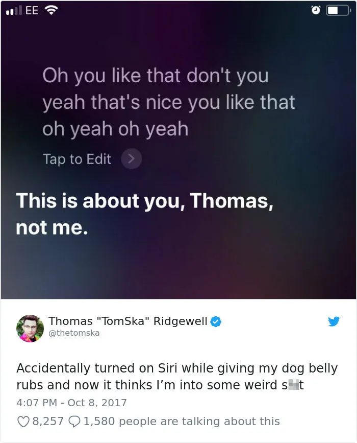 233 Funny Dog Tweets Every Dog Owner Should See ASAP