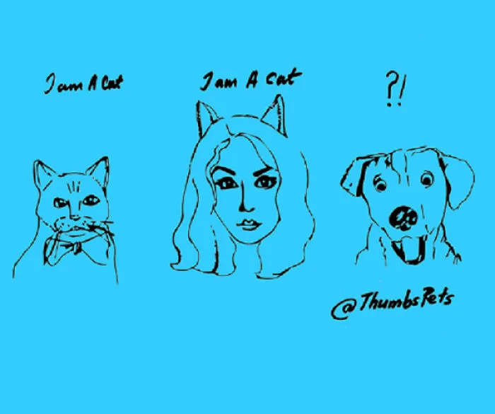 Everyone Wants To Be A Cat...