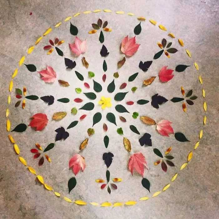 I Create Mandalas From Things I Find In Nature As A Way To Meditate