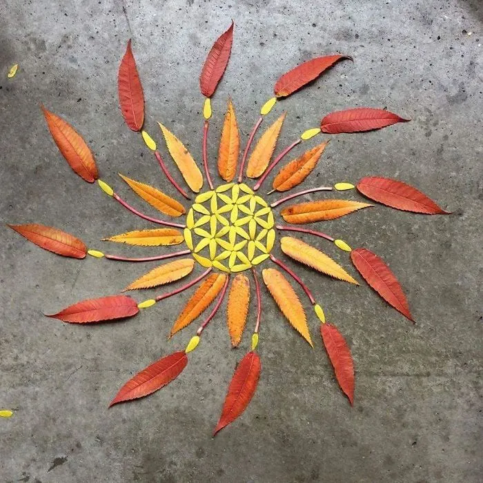 I Create Mandalas From Things I Find In Nature As A Way To Meditate