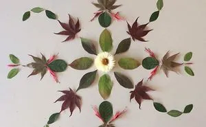 I Create Mandalas From Things I Find In Nature As A Way To Meditate