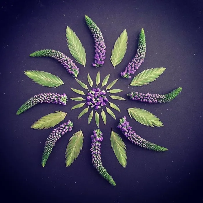 I Create Mandalas From Things I Find In Nature As A Way To Meditate
