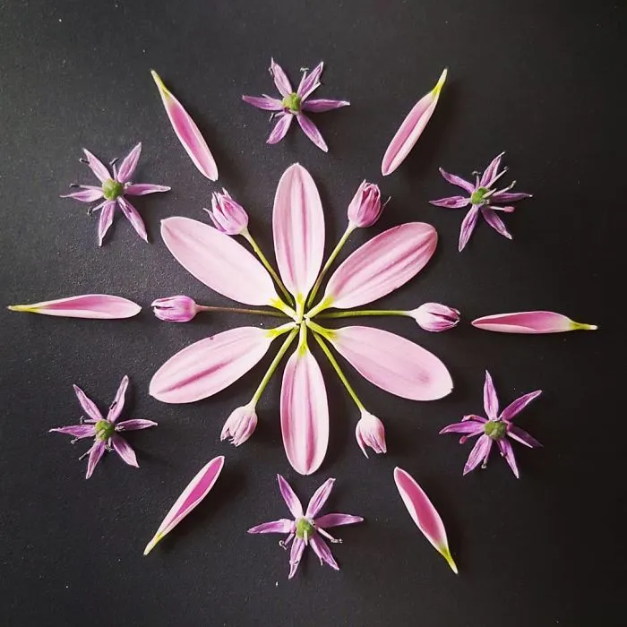I Create Mandalas From Things I Find In Nature As A Way To Meditate
