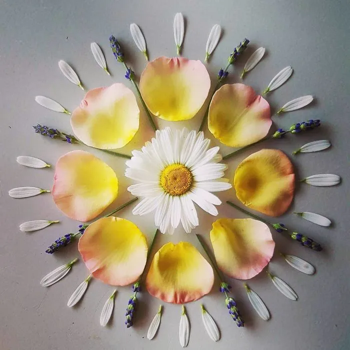 I Create Mandalas From Things I Find In Nature As A Way To Meditate