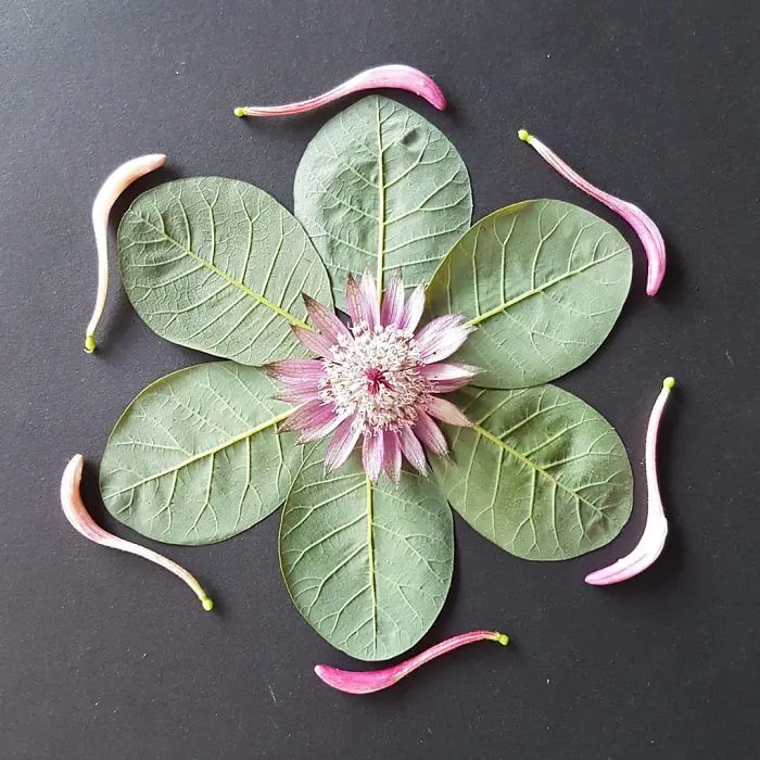I Create Mandalas From Things I Find In Nature As A Way To Meditate