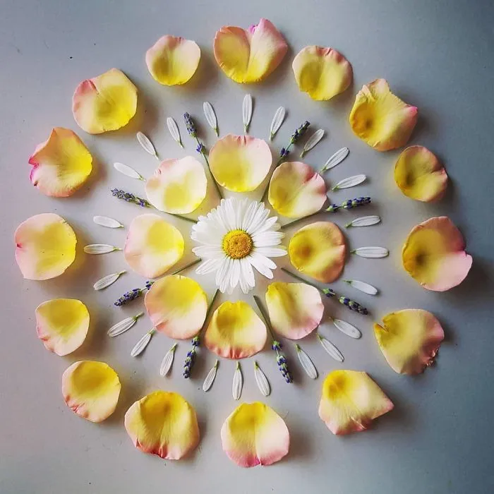 I Create Mandalas From Things I Find In Nature As A Way To Meditate