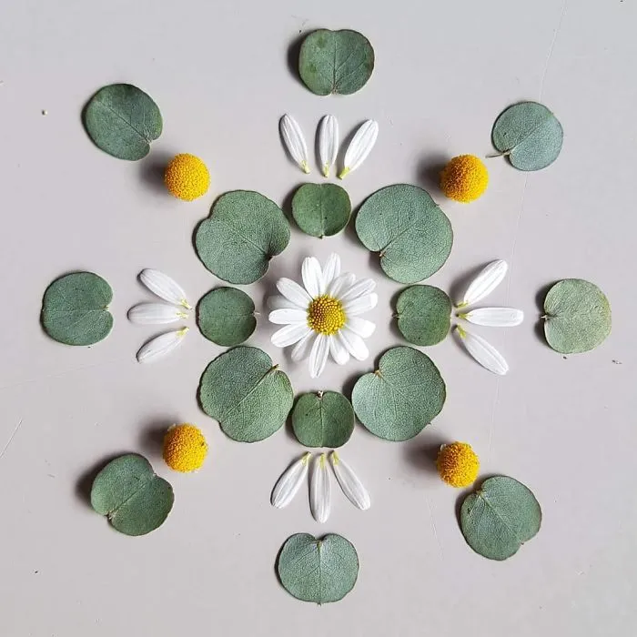 I Create Mandalas From Things I Find In Nature As A Way To Meditate