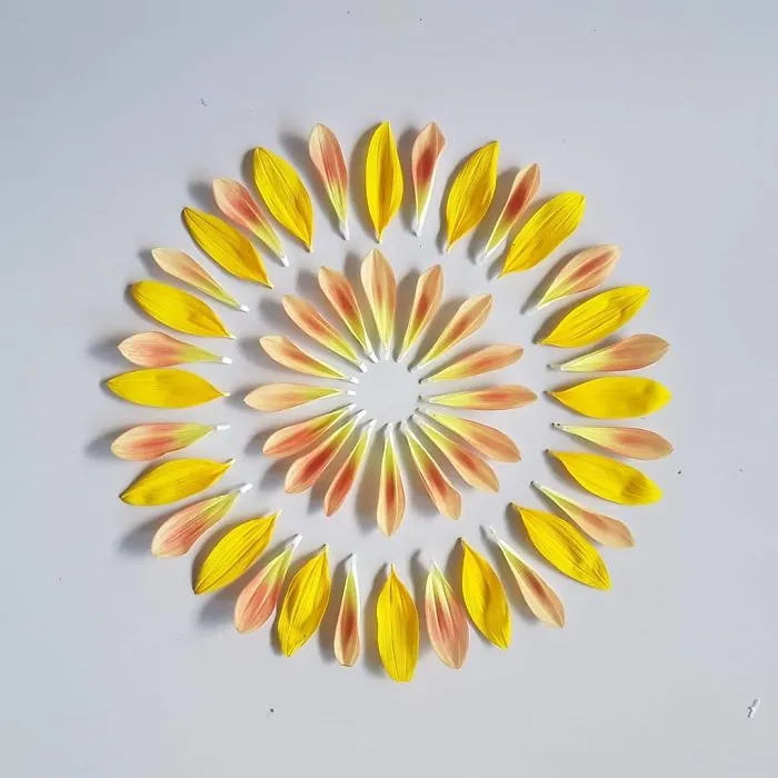 I Create Mandalas Out Of Nature Materials As A Way Of Meditation