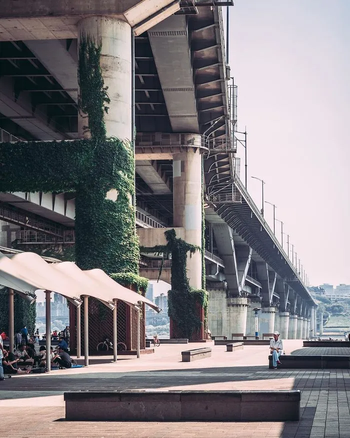 I Moved To Seoul From The US Two Years Ago To Be An English Teacher, And Here Are Some Of The Photos I've Taken