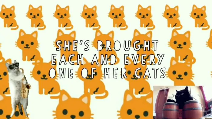 The Sassy Cat Lady Believes In You!!!