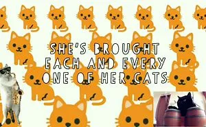 The Sassy Cat Lady Believes In You!!!