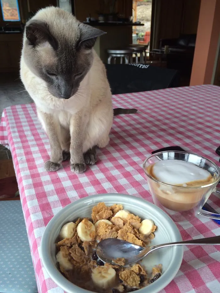 Rupert Being Subtle