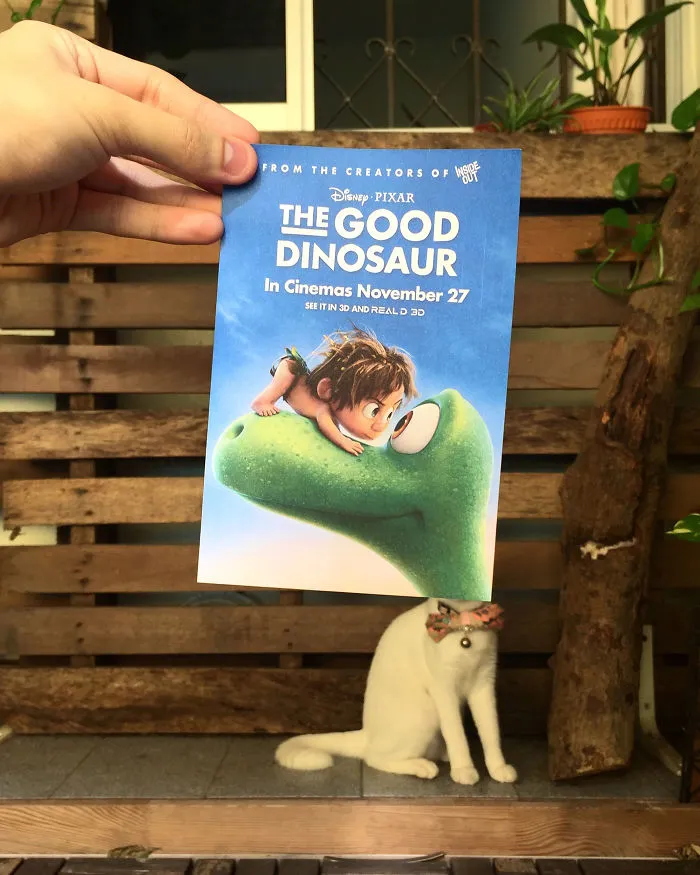 Photographer Follows Cats Around To “Insert” Them Behind Famous Movie Posters, And The Result Is Purrfect
