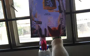 Photographer Follows Cats Around To “Insert” Them Behind Famous Movie Posters, And The Result Is Purrfect