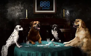 Dogs Get Their Game Face On! 888poker.com Unveils The Woof Series Of Poker