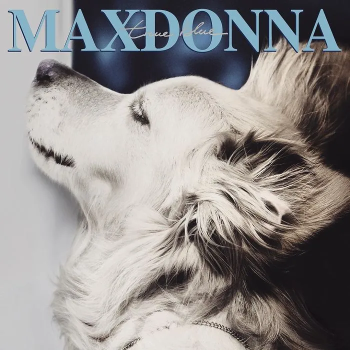 "True Blue" Album Cover