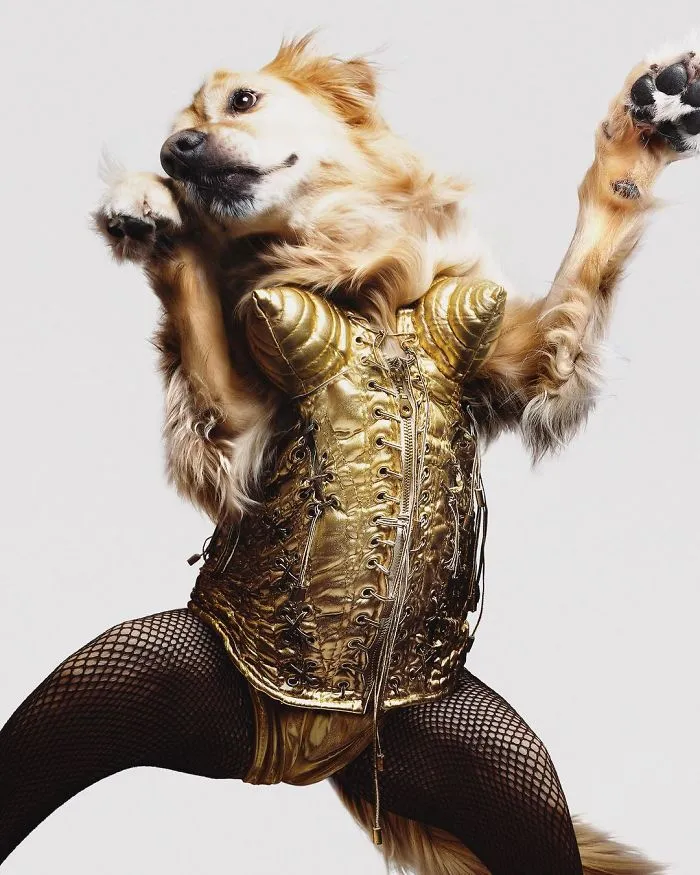 Harper’s Bazaar Magazine Cover