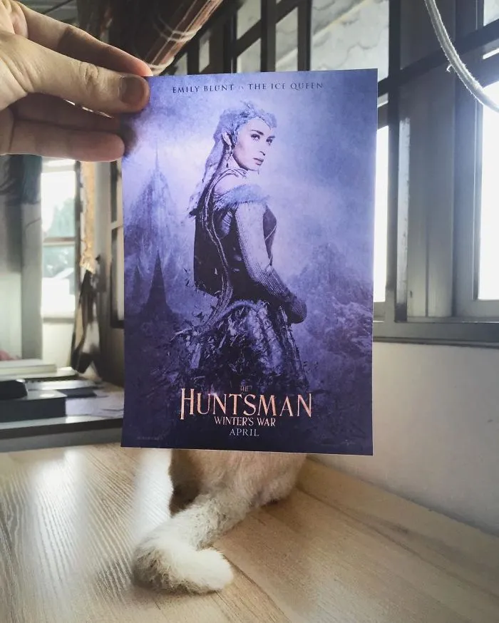 Photographer Follows Cats Around To “Insert” Them Behind Famous Movie Posters, And The Result Is Purrfect