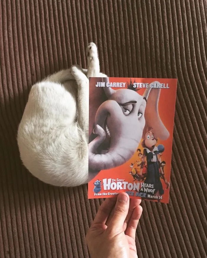 Photographer Follows Cats Around To “Insert” Them Behind Famous Movie Posters, And The Result Is Purrfect