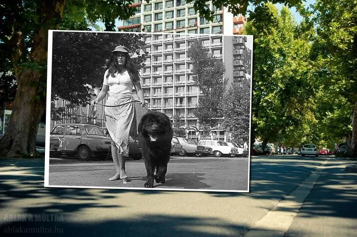 Photographer Lets Us Travel Back In Time By Combining 20th Century Pictures With Modern Day Surroundings