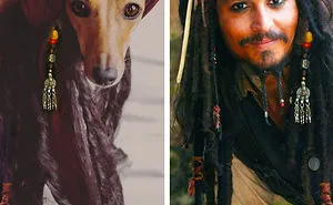 Who Wore It Better: Celebrity Dog Edition!