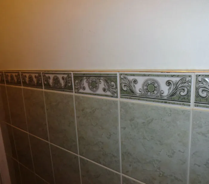 That's Killing You? I've Lived With This For 11 Years. I See It Every Time I Have To Go Toilet (Stupid Error The Tile Layer Made)