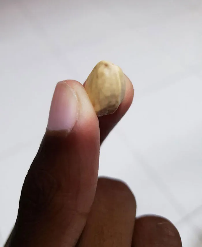 Los pistachos cerrados