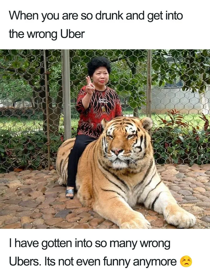 20 Hilarious Uber Animal Memes