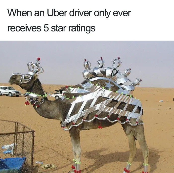 20 Hilarious Uber Animal Memes