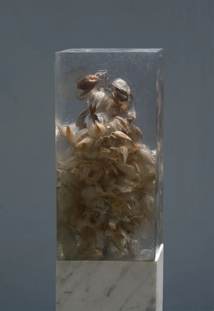 Botanical Elements Immersed In Clear Resin By Giulia Manfredi