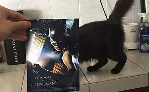 Photographer Follows Cats Around To “Insert” Them Behind Famous Movie Posters, And The Result Is Purrfect