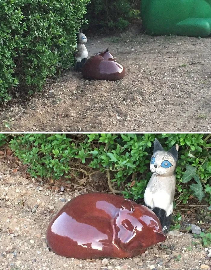 Gato decorativo