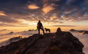 The Best Dog Photos Of 2018 Have Been Announced, And They'll Give You All The Feels