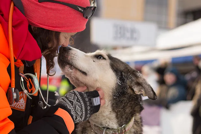 Judges’ Special Mention Man’s Best Friend Category Bendik Almås, Norway