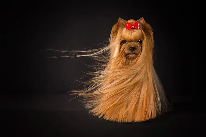 Judges’ Special Mention Portrait Category Viktoria Baranova, Estonia