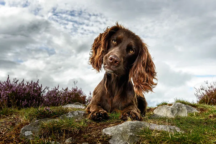 Judges’ Special Mention Portrait Category Jonathan Yearsley, United Kingdom