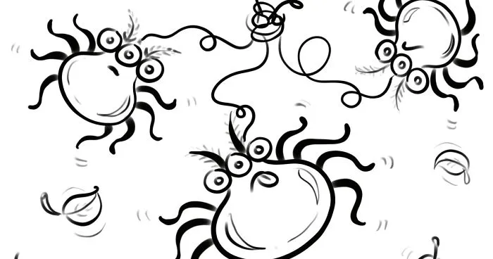 Silly Spiders Trying To Skate On Glass