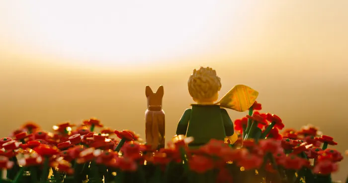 Photographer Pictures Iconic Scenes From The Book "The Little Prince" With Lego