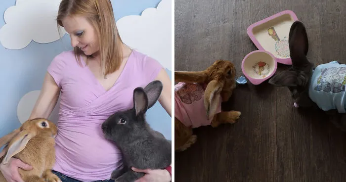 Therapy Rabbits: One Family's Unique Perspective