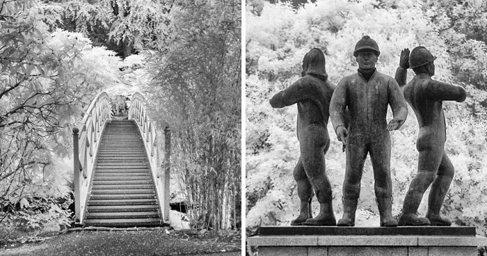 Ir Photography On The Cheap
