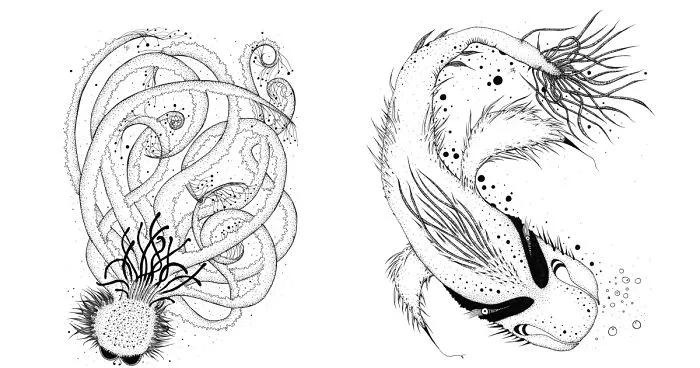 I Create Monsters From Animals Forms