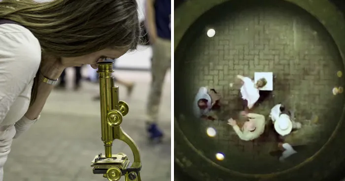 My Latest Artwork Puts Gallery Visitors Literally Under The Microscope