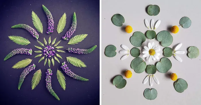 I Create Mandalas From Things I Find In Nature As A Way To Meditate