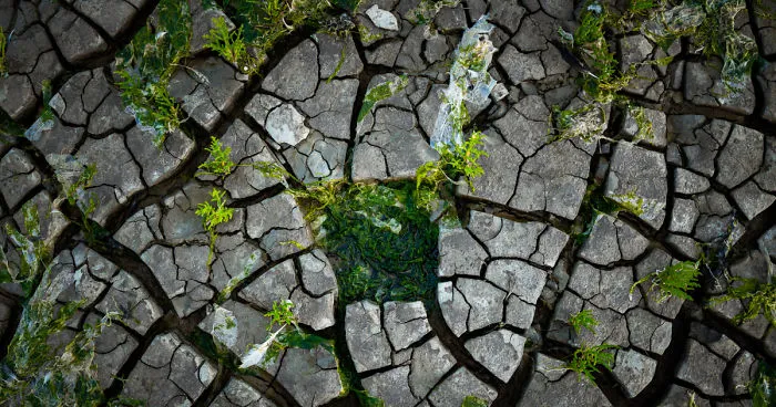 I Captured The Extreme Drought Along The Dutch Coastlines